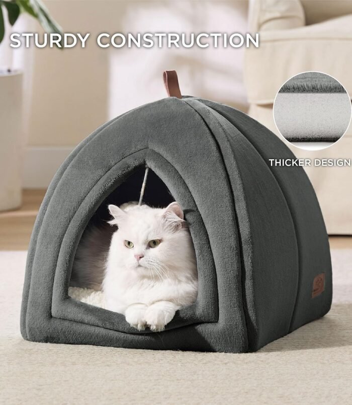 91ZHrVSWUbL._AC_SL1500_