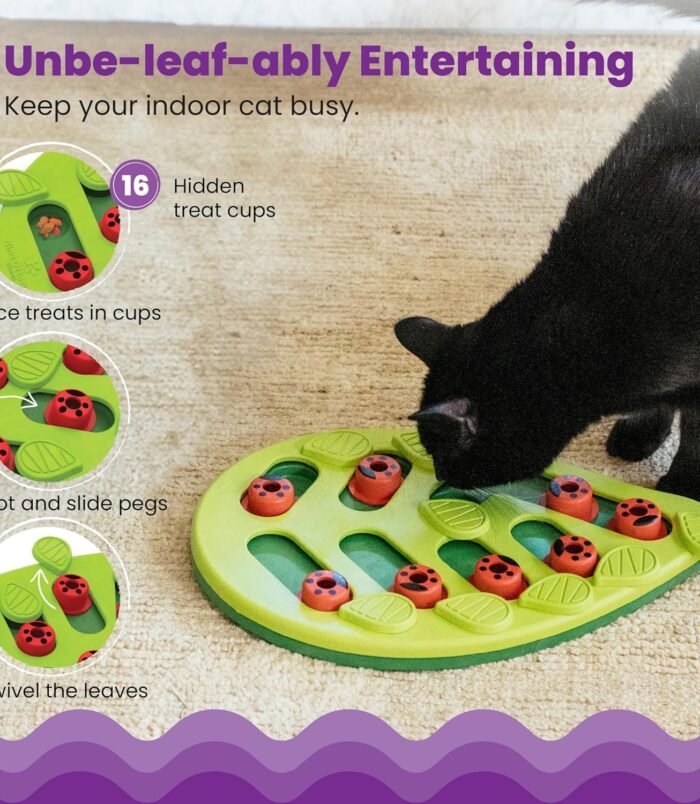 91aEb+cpSxL._AC_SL1500_