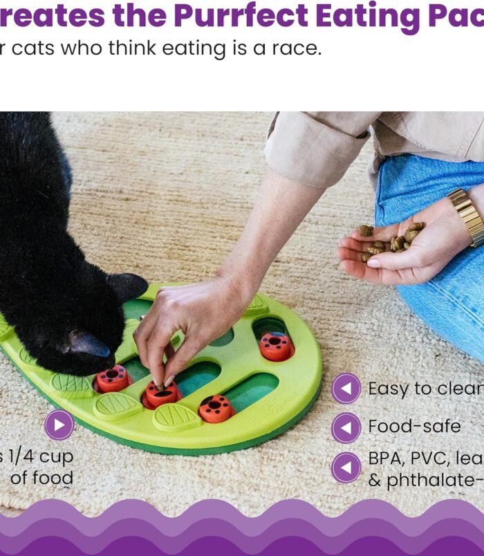 91ag0kJwpxL._AC_SL1500_