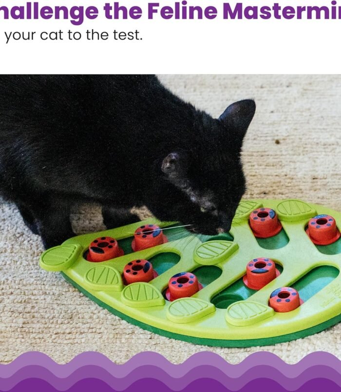 91od-lQbjSL._AC_SL1500_